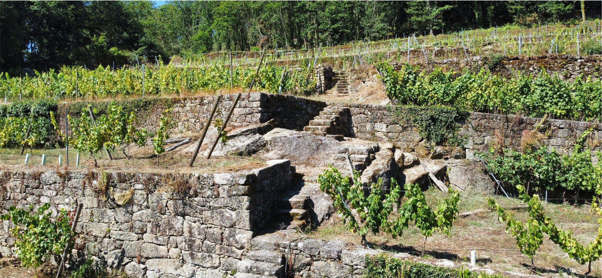 Finca Doña Daría
